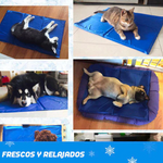 HAPPYPET™ | MANTA REFRIGERANTE PARA MASCOTAS🐶🐕🐈