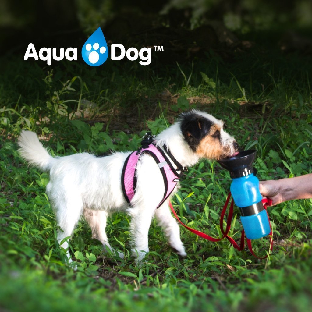 Bebedero canino aqua dog